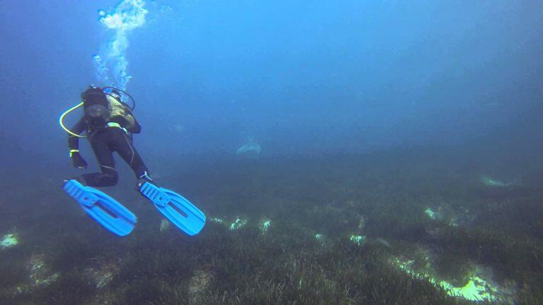 scubadiving