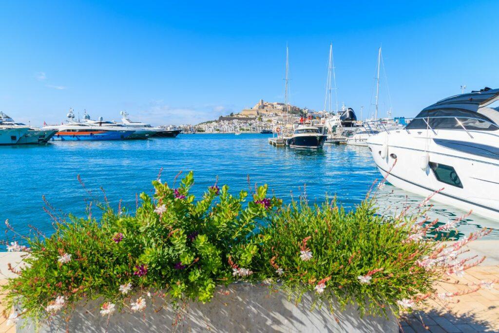 Ibiza yacht - Ibiza concierge services