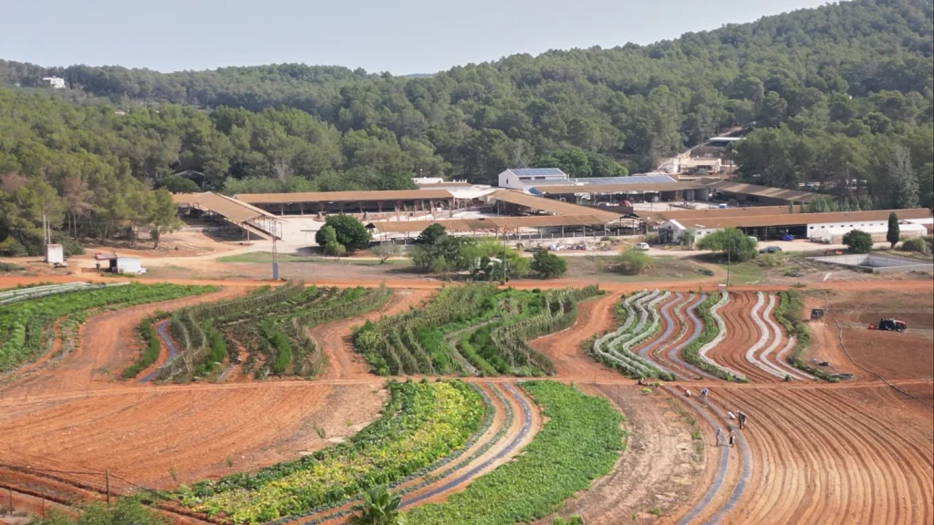 Juntos Farm Ibiza