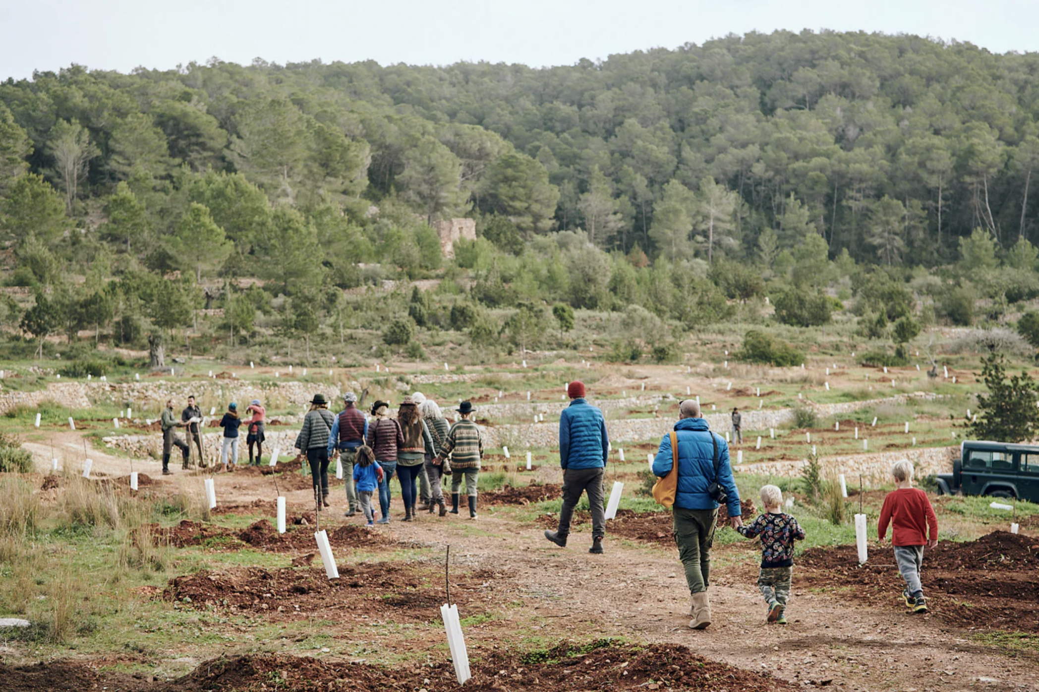 Juntos farm Ibiza