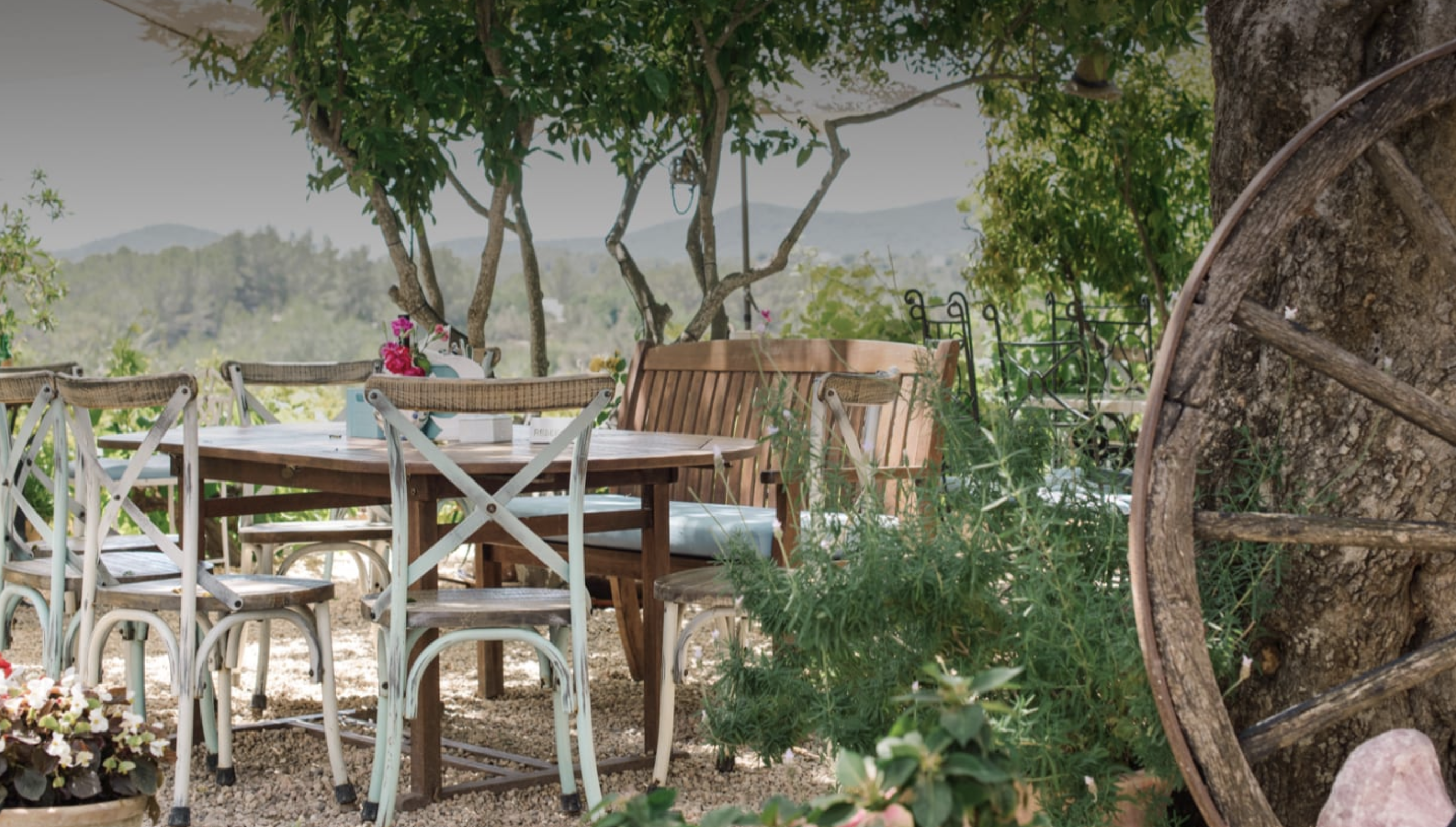 La Paloma Ibiza
