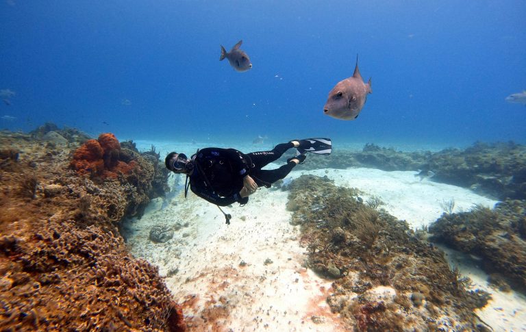 Snorkeling