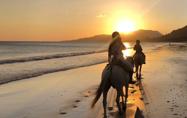 Horseback Riding
